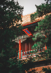 An architectural view of The Palace Museum, Beijing, framed by green trees. The roof detail...