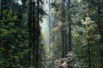 Vinal Creek Trail #9