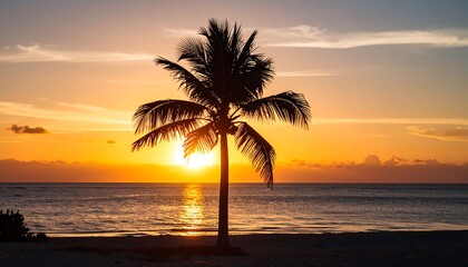 Tropical sunset silhouette