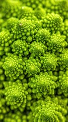 Detailed close-up of a bright green, fractal-like vegetable with bud-like formations