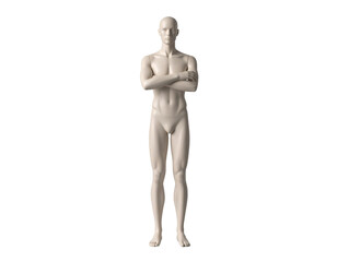 Male 3D model with arms crossed 