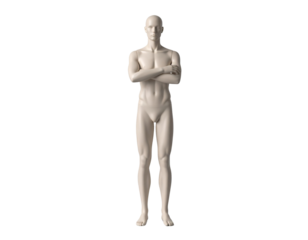 Male 3D model with arms crossed