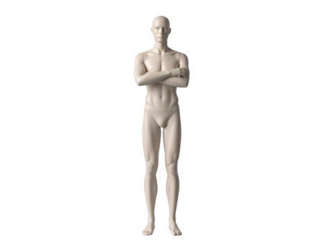 Male 3D model with arms crossed