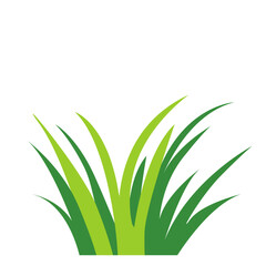 2d illustration of long green grass blades growing in small cluster, symbolizing nature or lawn vegetation.