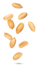 peanuts isolated on white background