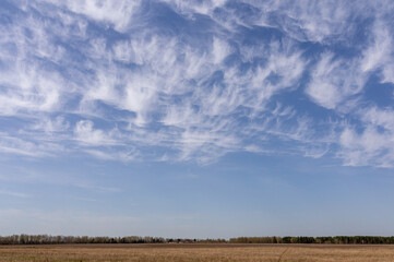 A fabulously beautiful and unusually bright sky with white clouds