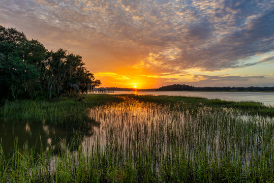 Sunset over serene marshland reflecting bright hues in the water at golden hour near a quiet riverside