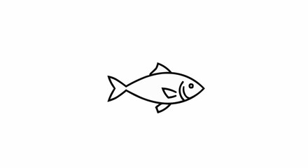 fish on a white background