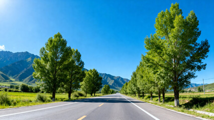 road in the mountains