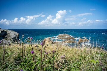 秋晴れの尻屋埼の風景　青森県東通村　9月末