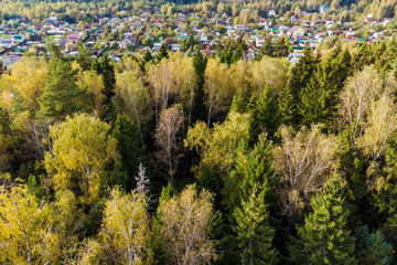Aerial view of an autumn forest in a rural area, with dacha development in the background