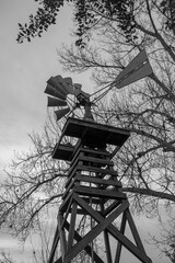 Vertical composition of farm windmill and winter trees, Bay Area California