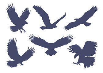 Eagle Flight Silhouette Pack Hunting Birds Vector Collection