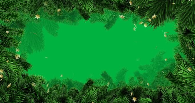 Animation of fir tree frame at christmas on transparent background