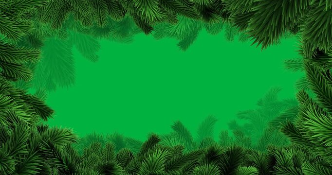 Animation of fir tree frame at christmas on transparent background