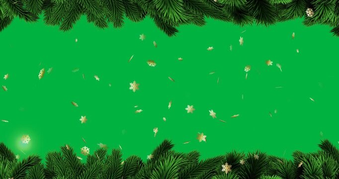 Animation of fir tree frame at christmas on transparent background