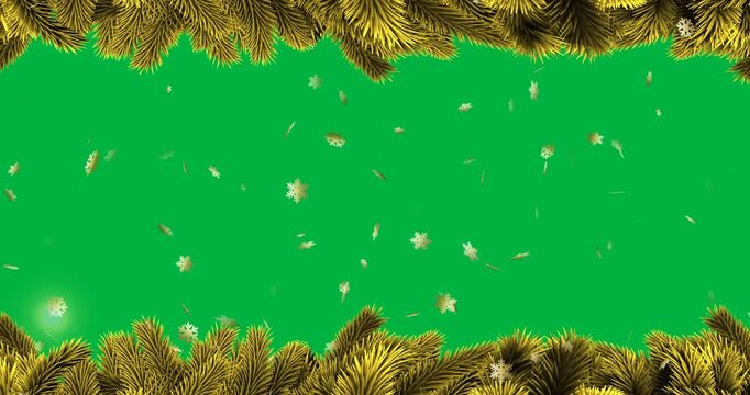 Animation of fir tree frame at christmas on transparent background