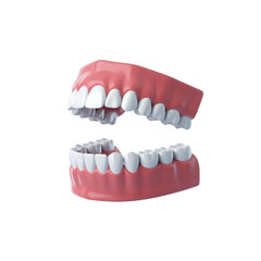 Obraz premium 3d rendered illustration of human teeth isolated on transparent background