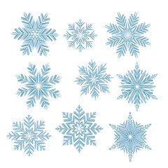 Different snowflakes in a clean and modern vector style for Christmas