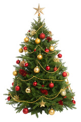 Decorated Christmas Tree with Ornaments and Star Topper on Black Background