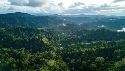 Naklejka premium Aerial View of Tropical Forest Ridge Line
