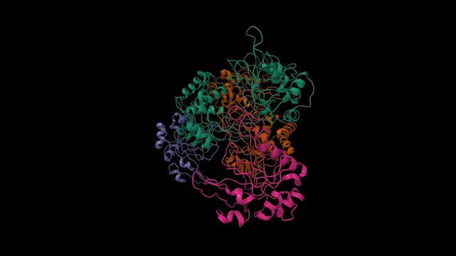 Structure of the DNA modification-dependent restriction endonuclease AspBHI. Animated 3D cartoon and molecular surface models, chain id color scheme, pdb 4oc8, black background