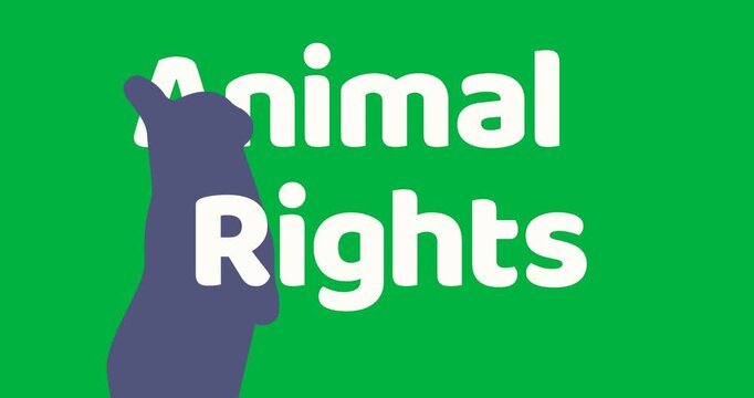 Animation of animal rights text and rabbit on transparent background
