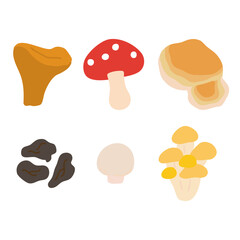 Mushroom