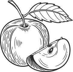Illustration of an apple isolated on white background, showcasing its round shape, stem, leaf, and a slice with seeds in a detailed line drawing