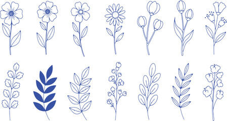 Blue Outline Flowers And Leaves Botanical Illustrations blossom bloom