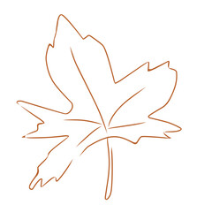 leaf icon