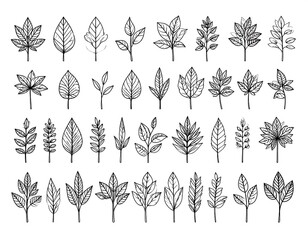 Collection of hand-drawn leaves and branches