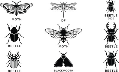 Insect vector illustration set, detailed moth, beetle, dragonfly, cicada, blackmoth designs, entomology collection, vintage insect drawings, isolated icons