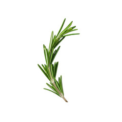Fototapeta premium A fresh, vibrant deep green rosemary sprig with delicate needles, and crystalline coarse sea salt flakes, on a pristine transparent background, high-key studio, top-down macro, concept of culinary