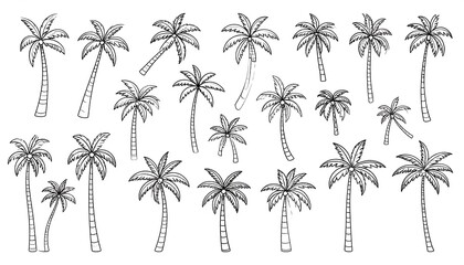Collection of hand-drawn palm trees (1)
