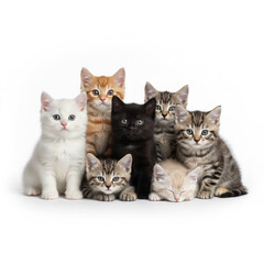 AI-Generated, Kittens Collective: A captivating portrait of an assortment of adorable kittens, each with distinct fur patterns, huddled together.