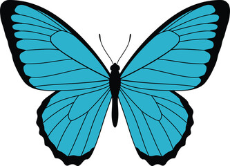 Blue butterfly illustration, vibrant insect design, symmetrical wings, natural beauty, wildlife art, isolated vector, decorative graphic, detailed pattern, colorful nature, realistic style