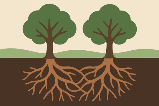 Roots forming network two tree trees vector intertwined single underground intertwining illustration