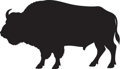 Silhouette of American buffalo, Buffalo, 