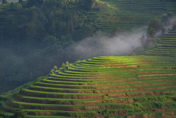 Rice fields on terraces of Mu Cang Chai, Vietnam.