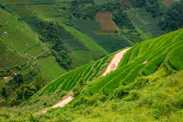 Rice fields on terraces of Mu Cang Chai, Vietnam.