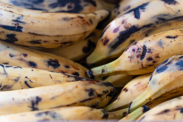 Raw Organic Fresh Plantains ready to Cook