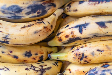 Raw Organic Fresh Plantains ready to Cook