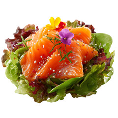 Smoked salmon salad with blow png 