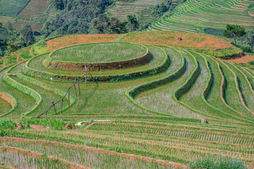 Rice fields on terraces of Mu Cang Chai, Vietnam.