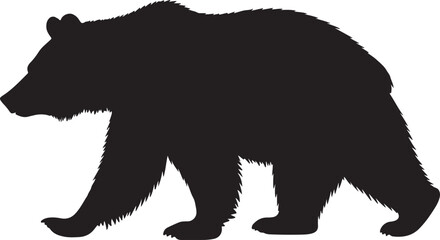 Silhouette of bear, walking bear, 