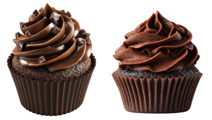 Decadent Chocolate Cupcake with Swirled Frosting
