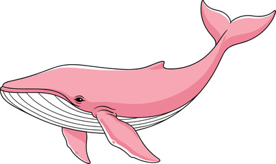 Cartoon pink whale with baleen plates, large tail fin, calm expression, isolated on white background, marine animal illustration vector