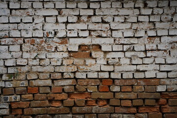 The brick wall of the old garage and barn.