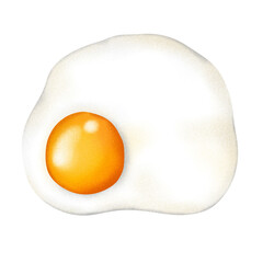 fried egg  Illustration Digital Drawing 